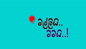 Read more about the article මල්ලියි.. මමයි..!