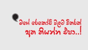 Read more about the article මගේ රෙකෝඩ් වලට විතරක් අත තියන්න එපා..!