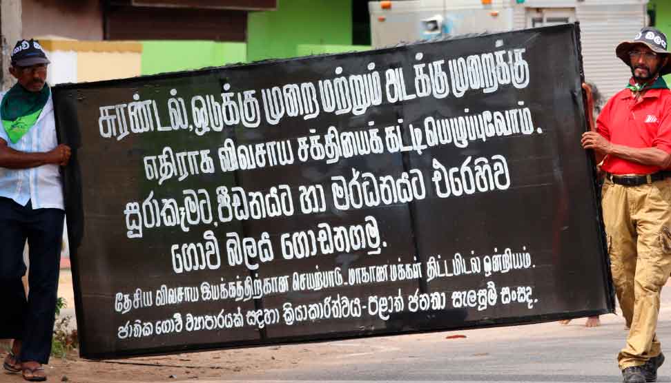 Read more about the article මේක ඩොලර් නිසා පිස්සු වැටුණු  ආණ්ඩුවක්..
