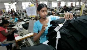 Read more about the article කිරිපෝරුවේ  පුෂ්පලතා; නිෂ්පාදන ඉලක්ක හමුවේ පලමු බිල්ල..